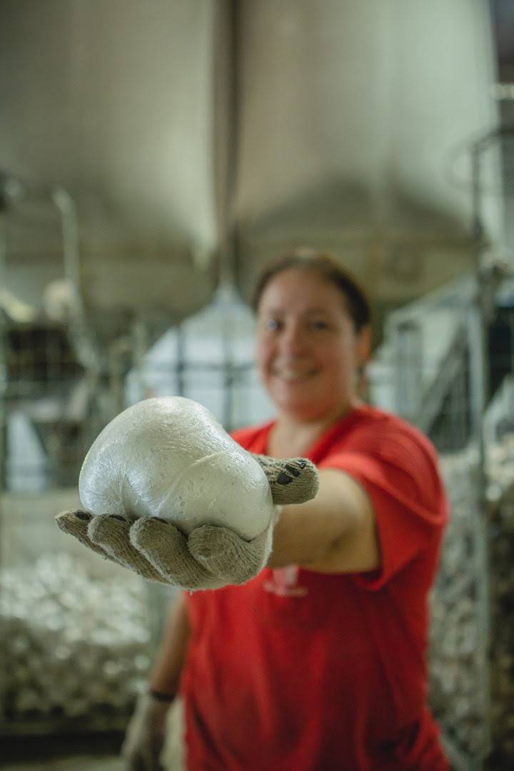 Embalagens em EPS são aliadas do e-commerce e da economia circular